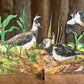 Lapwing Nest laser cut birch plywood keepsake and card