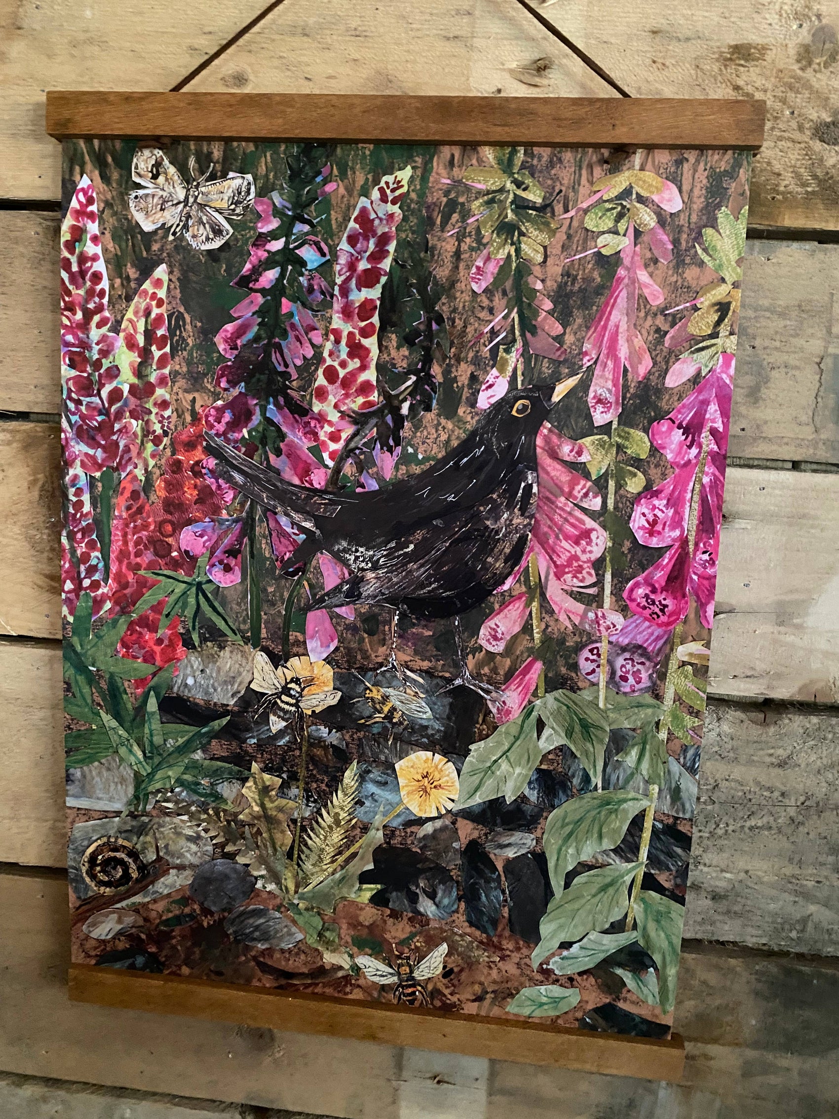 A3 Blackbird in the foxgloves  art print