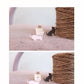 Suatelier | Doggy Kitty sticker: Doggy