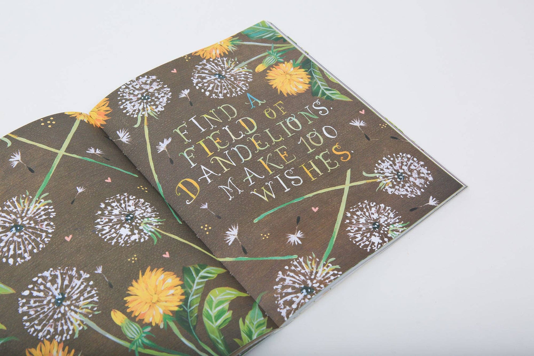 Wildflower's Workbook - A Journal for Self-Discovery in Nature (Diary or Journal)