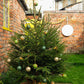 Gold and White Bauble