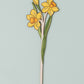 Wooden Daffodil Gift – March Birth Flower - Sustainable Gift