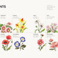 Birth Flowers in Watercolour