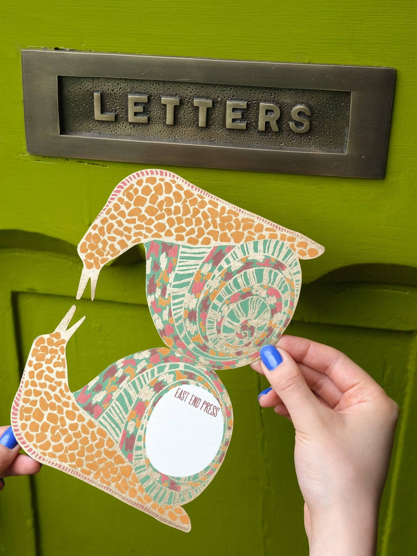 Snail Greeting Card: C6