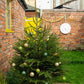 Emerald Green and Gold Bauble