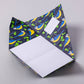 Dawn Chorus Pigeon, Folding Letter Set – Pack of 6 Letters