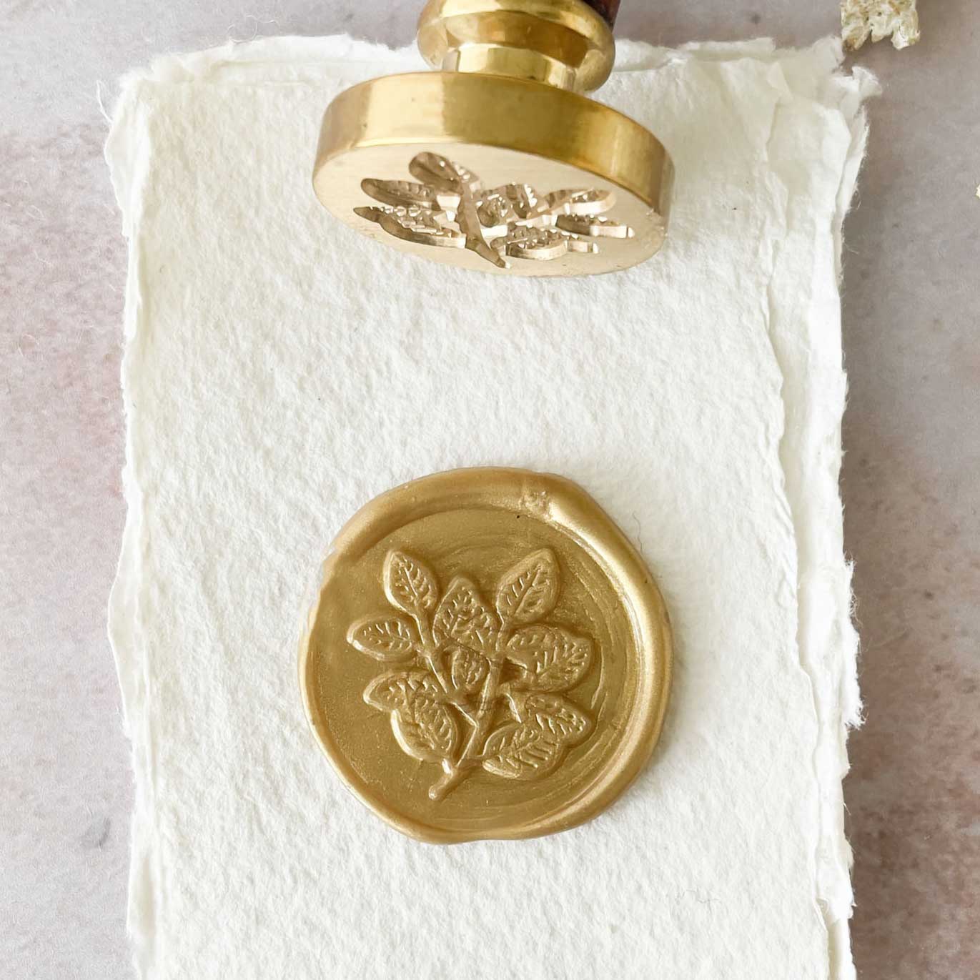 Flora Wax Stamp | Leaf Wax Stamp | Boxed