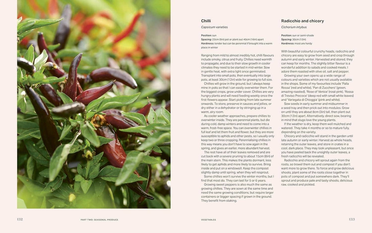 The Productive Garden