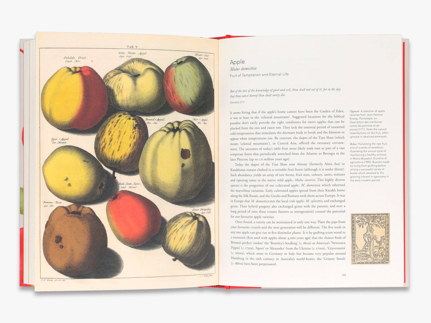 Remarkable Plants