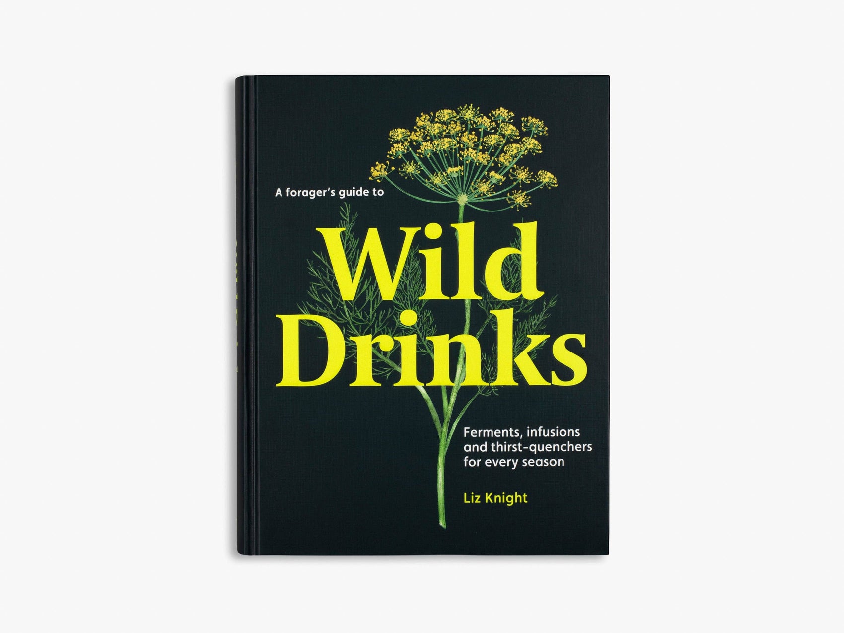 A Forager's Guide to Wild Drinks