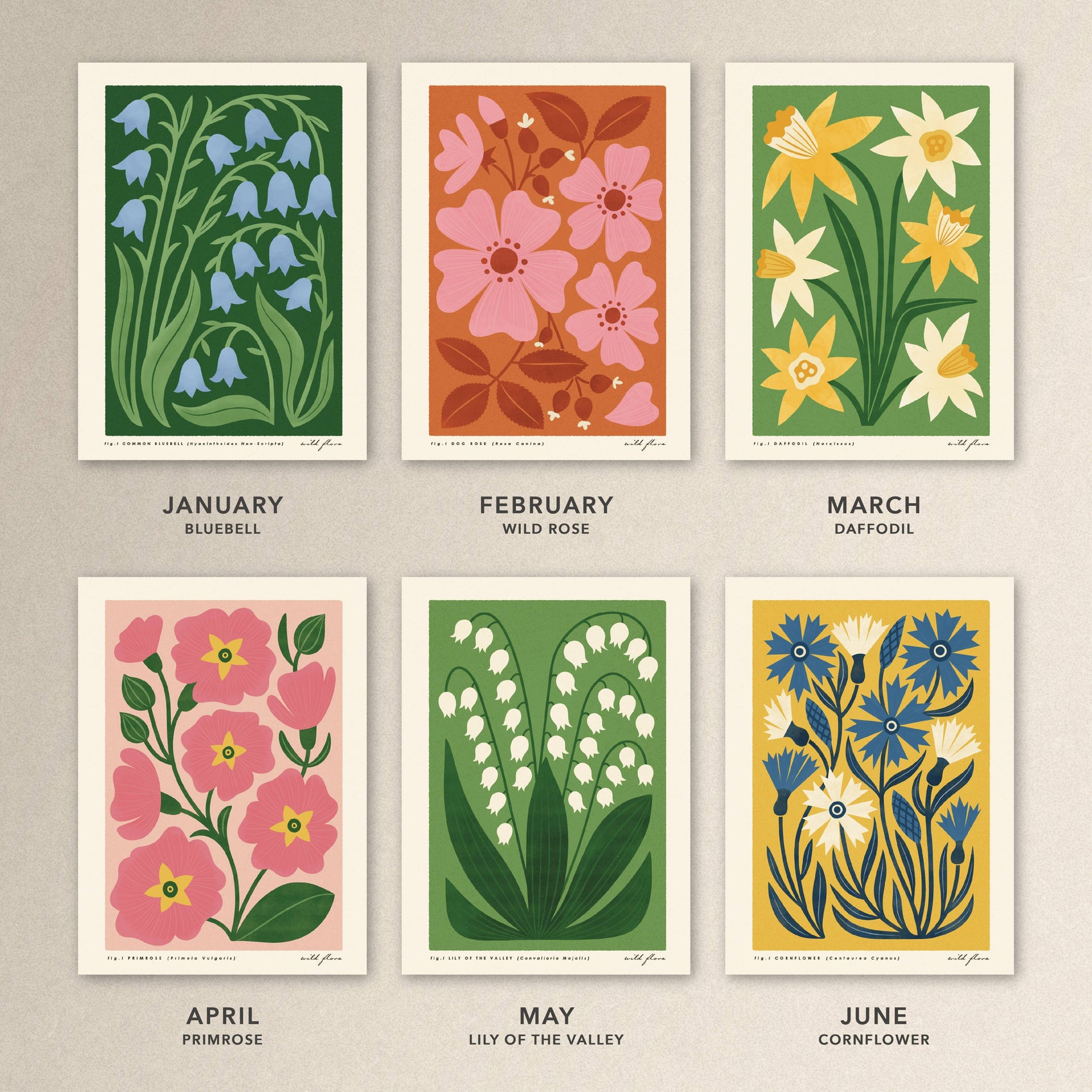 2026 Illustrated Wild Flower Eco friendly Wall Calendar - A4: Naked