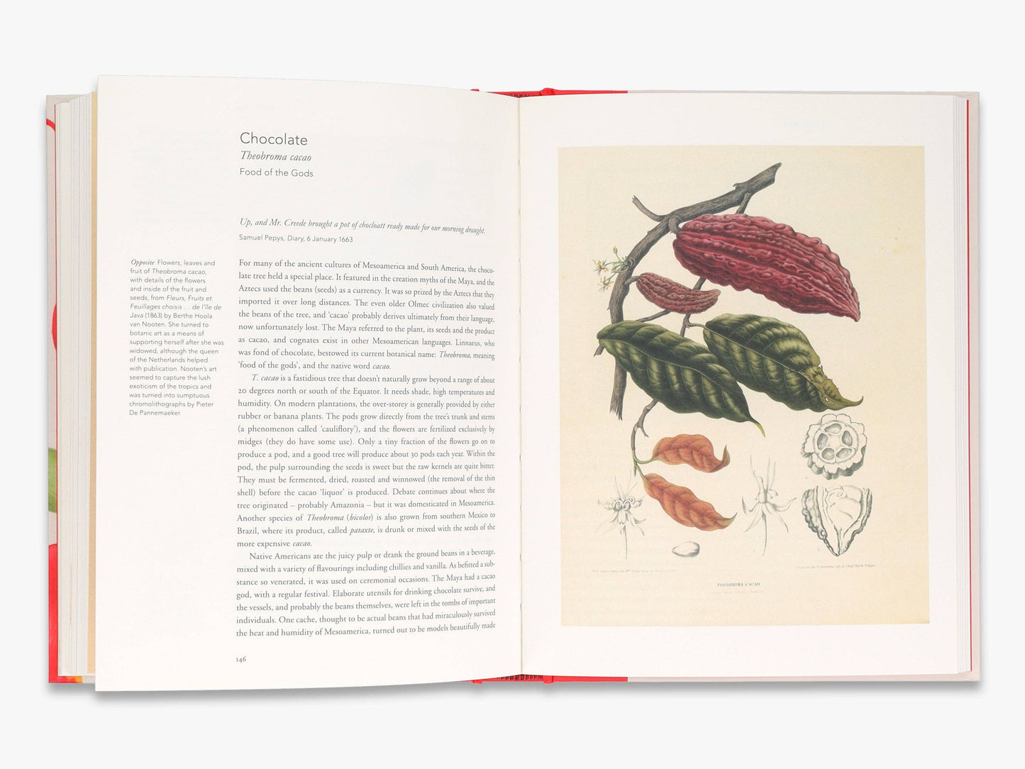 Remarkable Plants