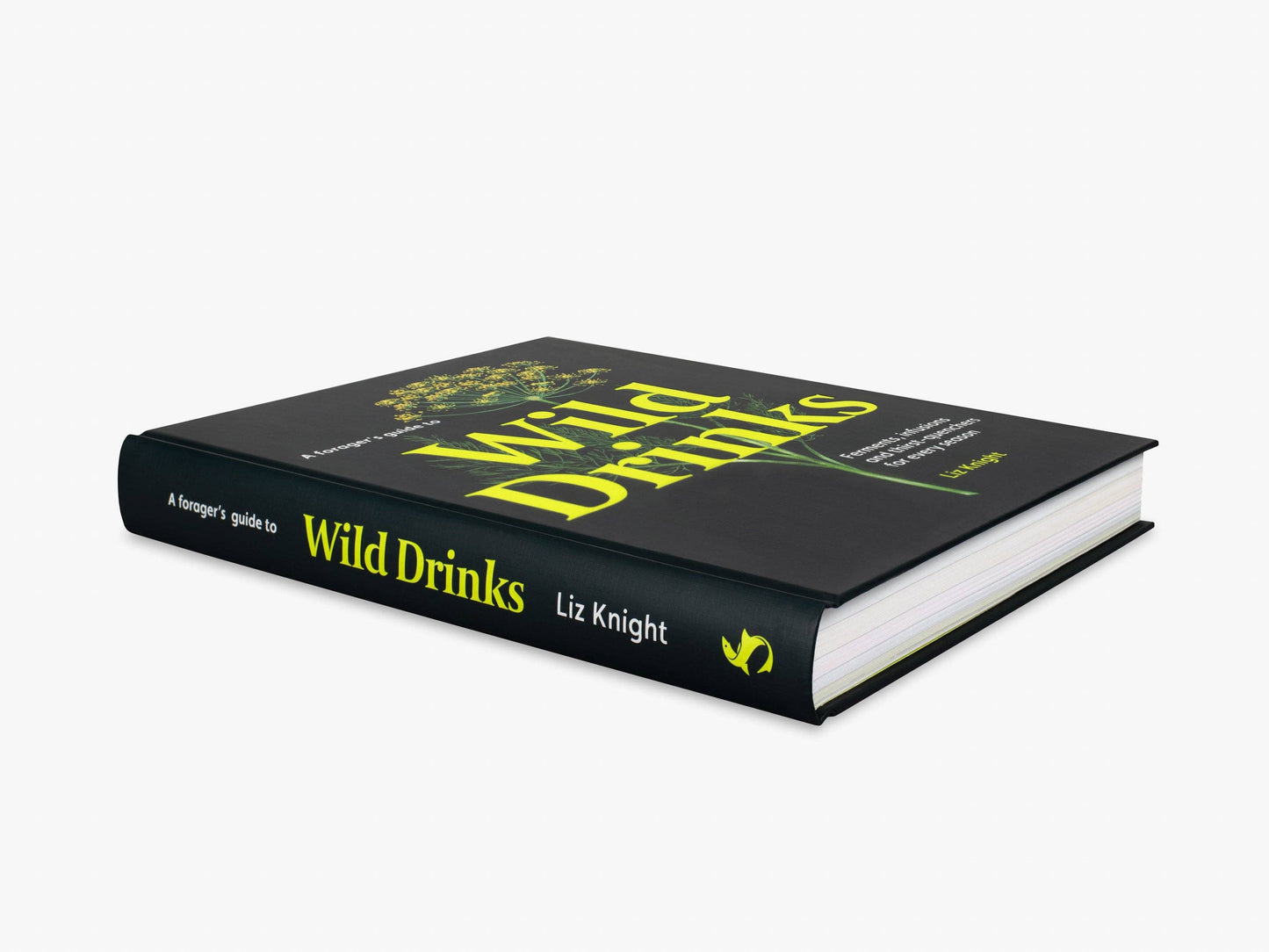 A Forager's Guide to Wild Drinks