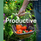 The Productive Garden