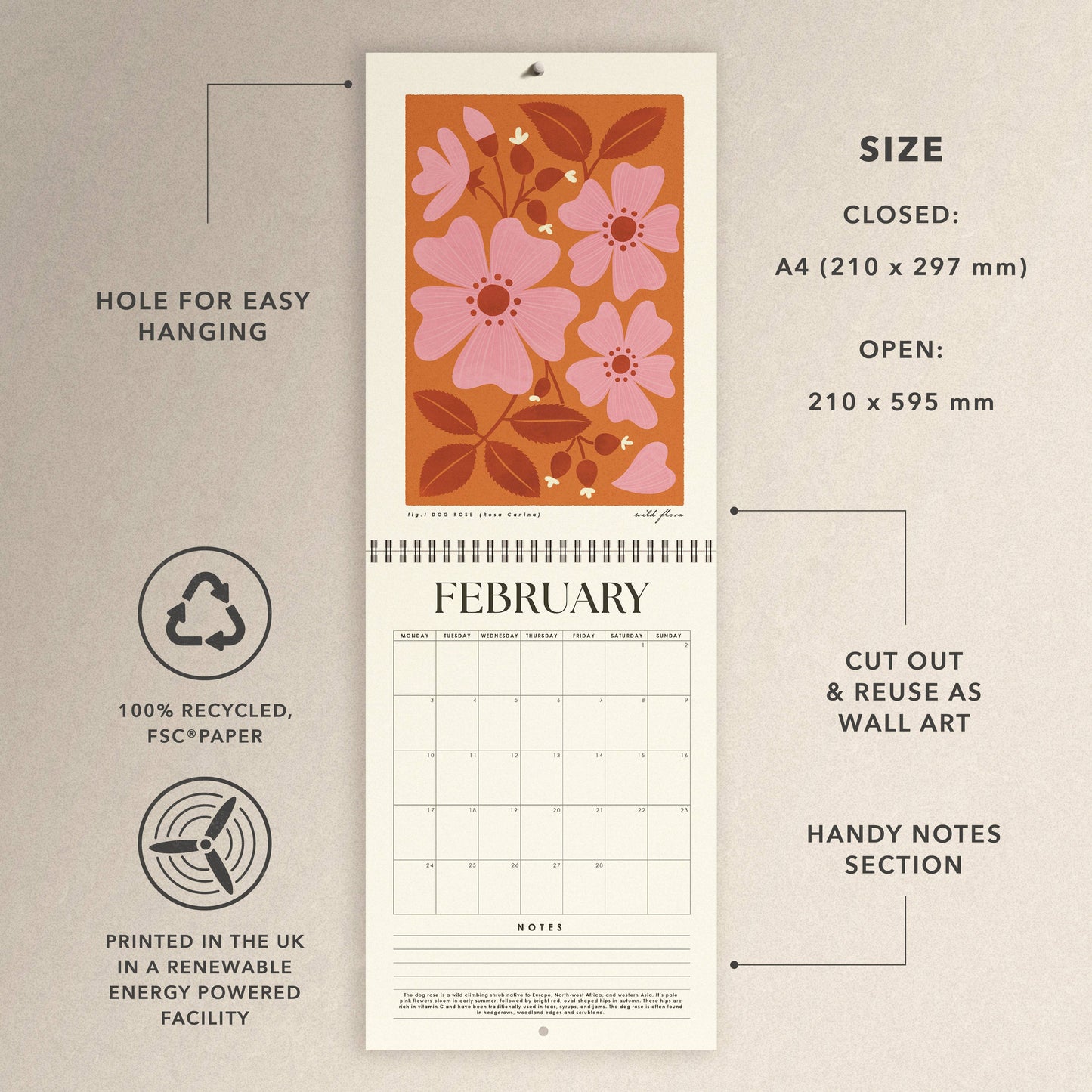 2026 Illustrated Wild Flower Eco friendly Wall Calendar - A4: Naked