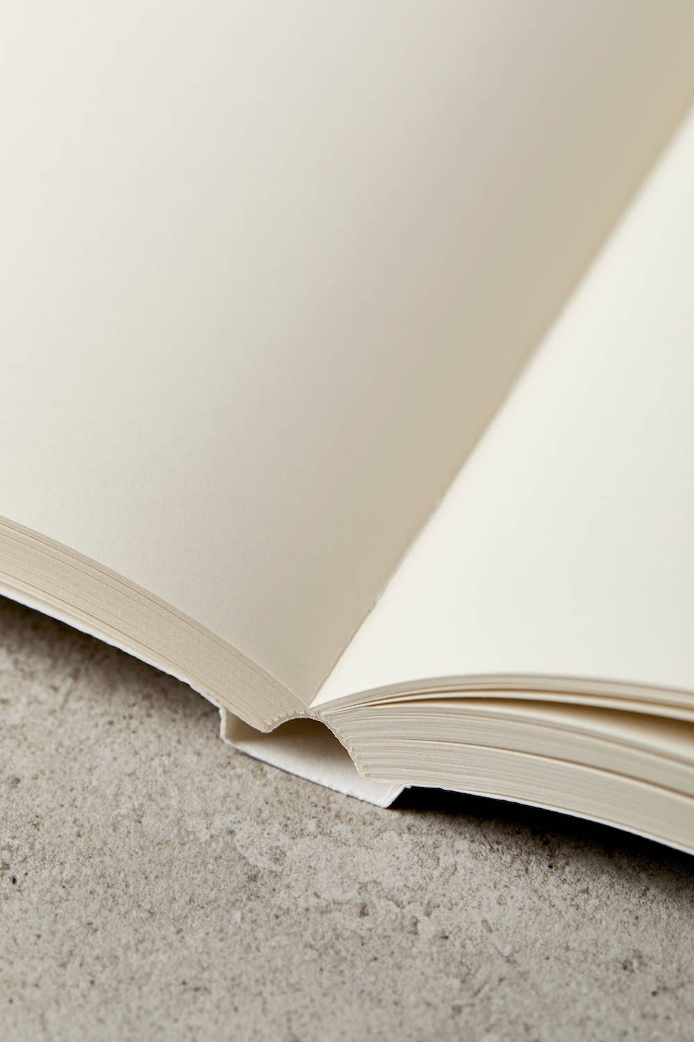 Blush 300 Page Blank Lay Flat Notebook