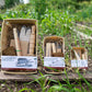 Seedbed Essentials Kit  | Plant | Grow  | Garden