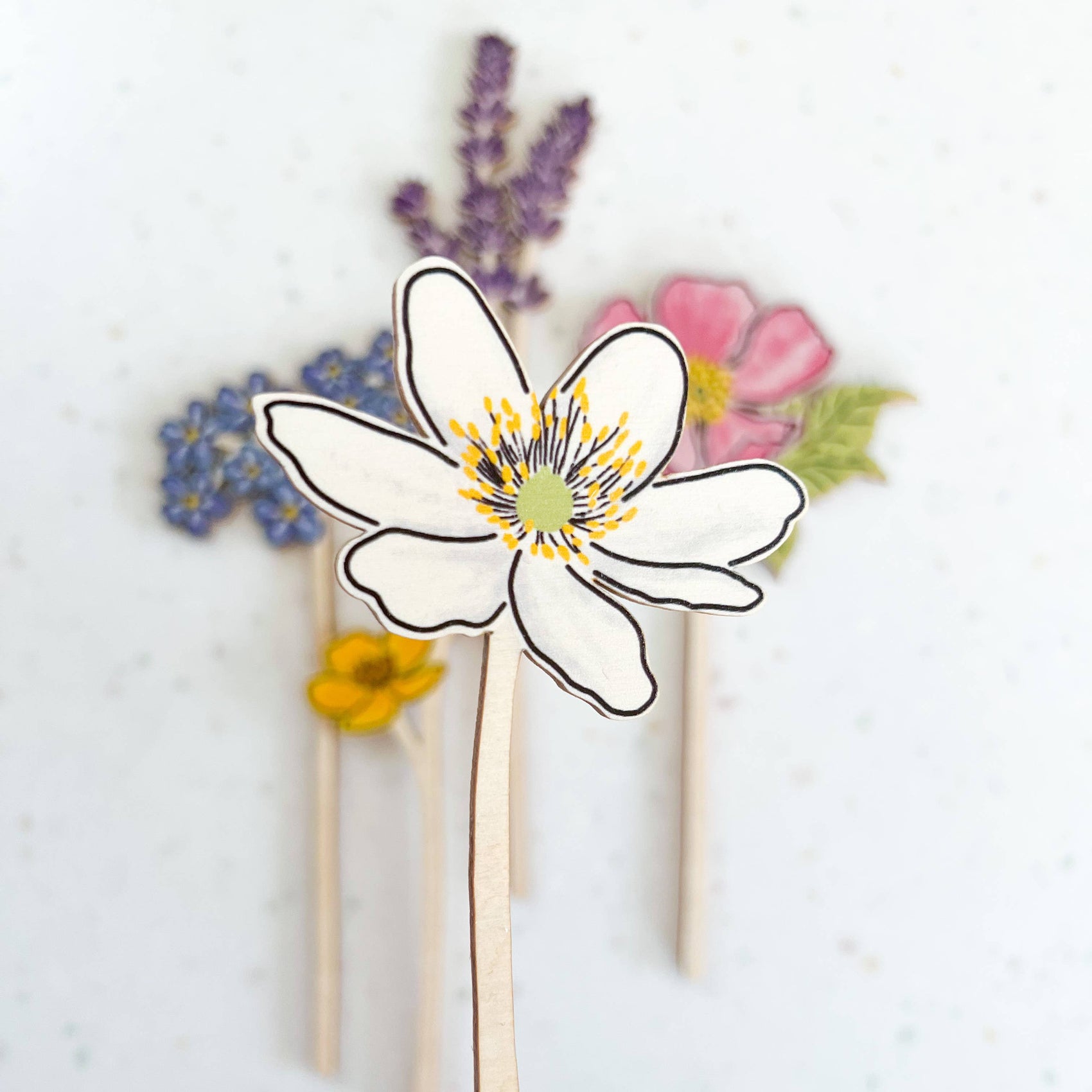 Wooden Wildflowers: Wood Anemone
