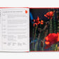The Super Bloom Handbook