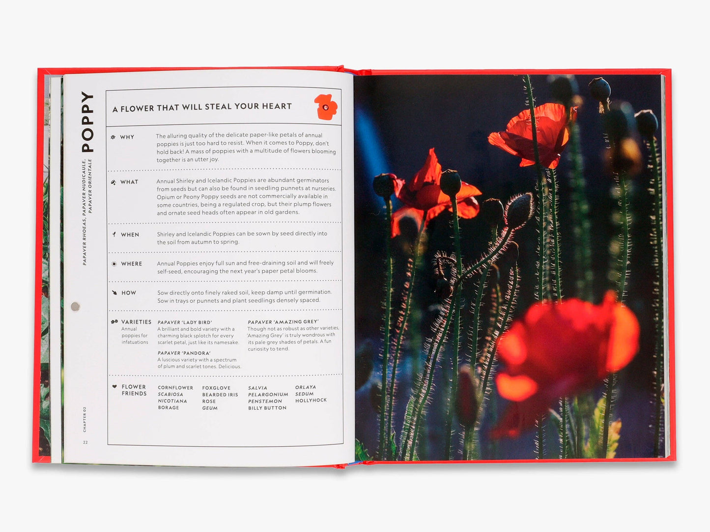 The Super Bloom Handbook