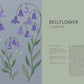 Floral Folklore