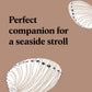 Pocket Nature Series: Beachcombing - Cultivate Mindful Moments by the Sea (Hardback)