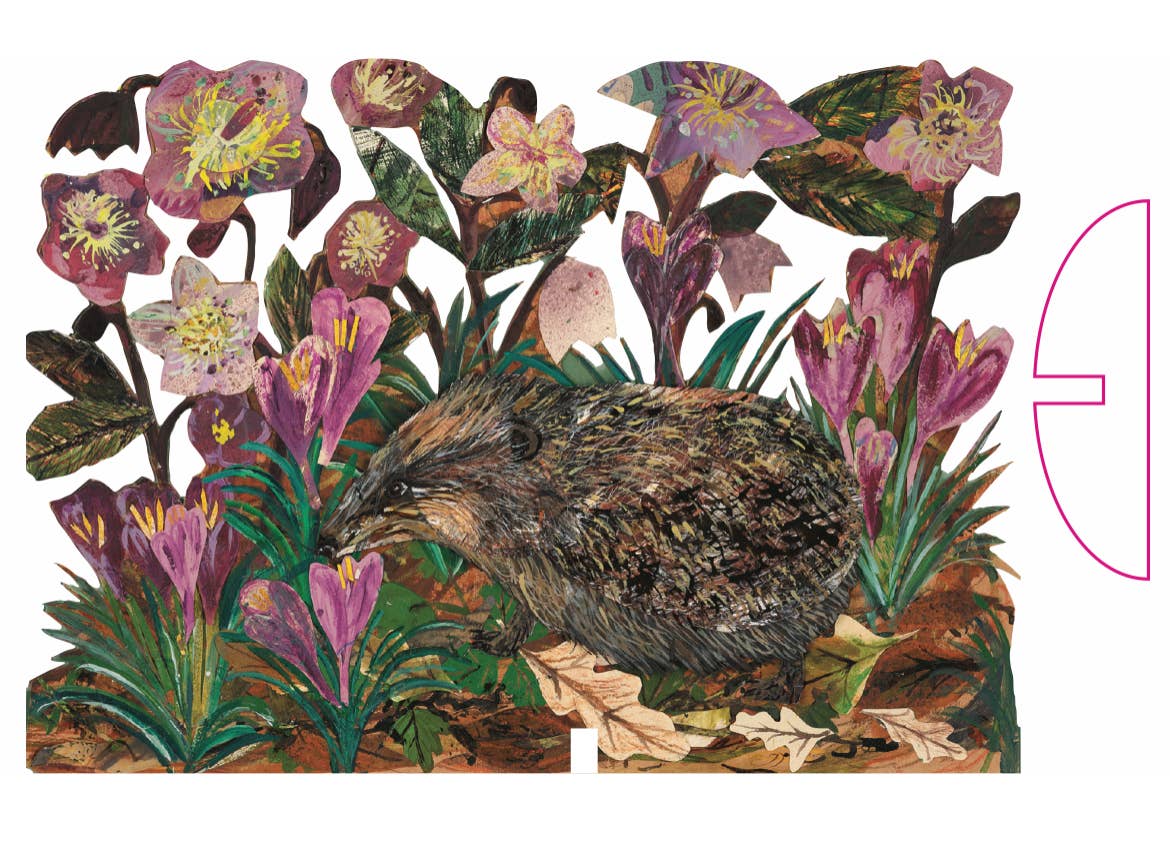 Hedgehog & Hellebore’s laser cut birch plywood keepsake