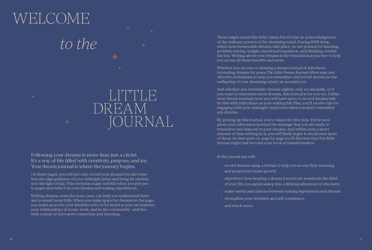 The Little Dream Journal