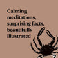Pocket Nature Series: Beachcombing - Cultivate Mindful Moments by the Sea (Hardback)