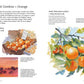 Hazel Soan's Art of the Limited Palette - a step-by-step practical watercolour guide (Hardback)
