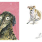 Tell Your Dog I Love Them