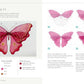 Beautiful Butterflies and Flowers