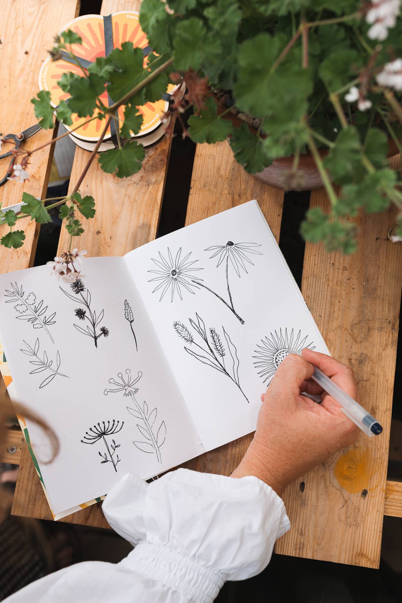 Notebook + Folder (A5) - Alocasia