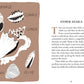 Pocket Nature Series: Beachcombing - Cultivate Mindful Moments by the Sea (Hardback)