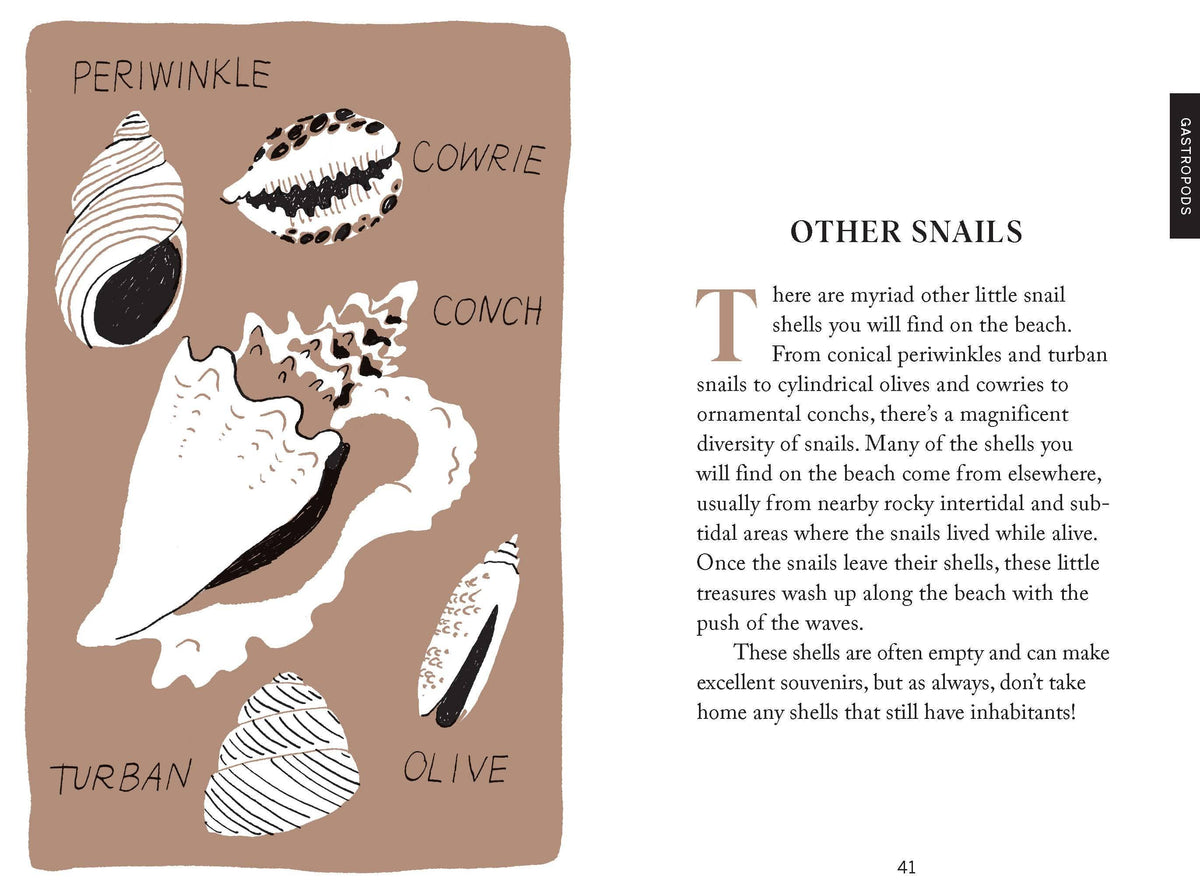 Pocket Nature Series: Beachcombing - Cultivate Mindful Moments by the Sea (Hardback)