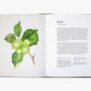 A Forager's Guide to Wild Drinks