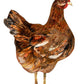 Henny Penny birch plywood decoration 