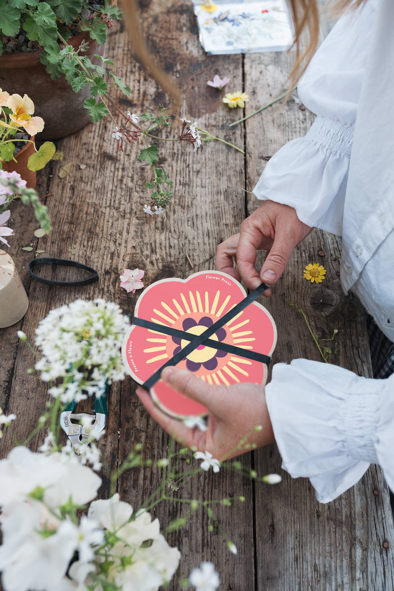 Flower Shaped Press - Pinks