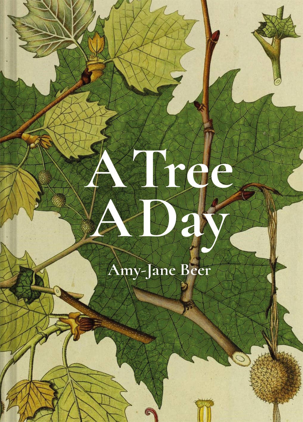 A Tree A Day (Hardback)