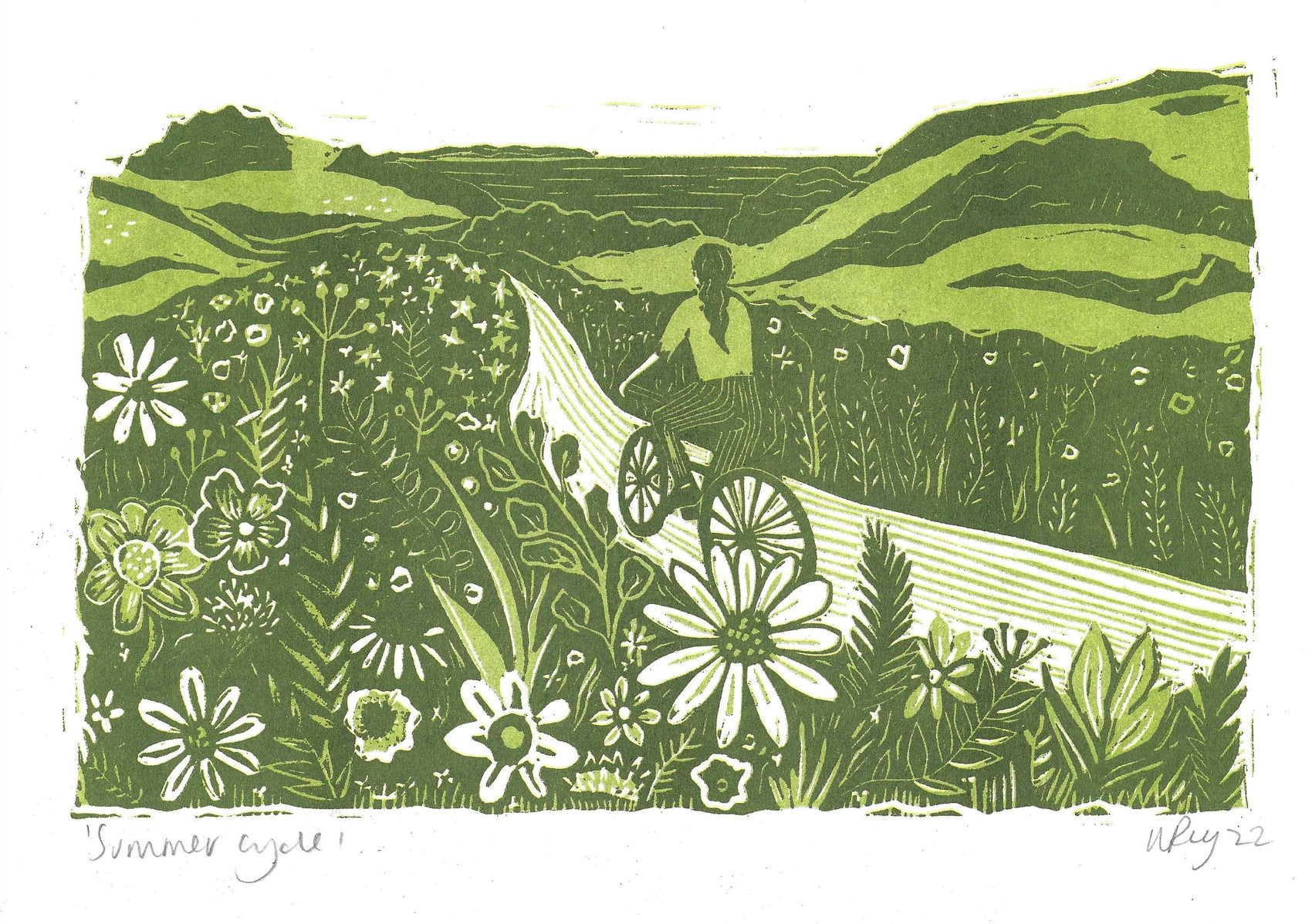 Summer Cycle riso, cycling, summer, hedgerow, countryside