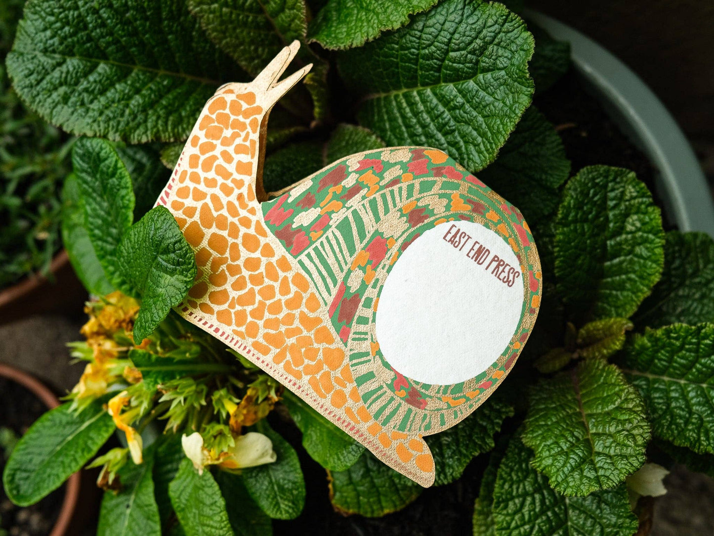 Snail Greeting Card: C6