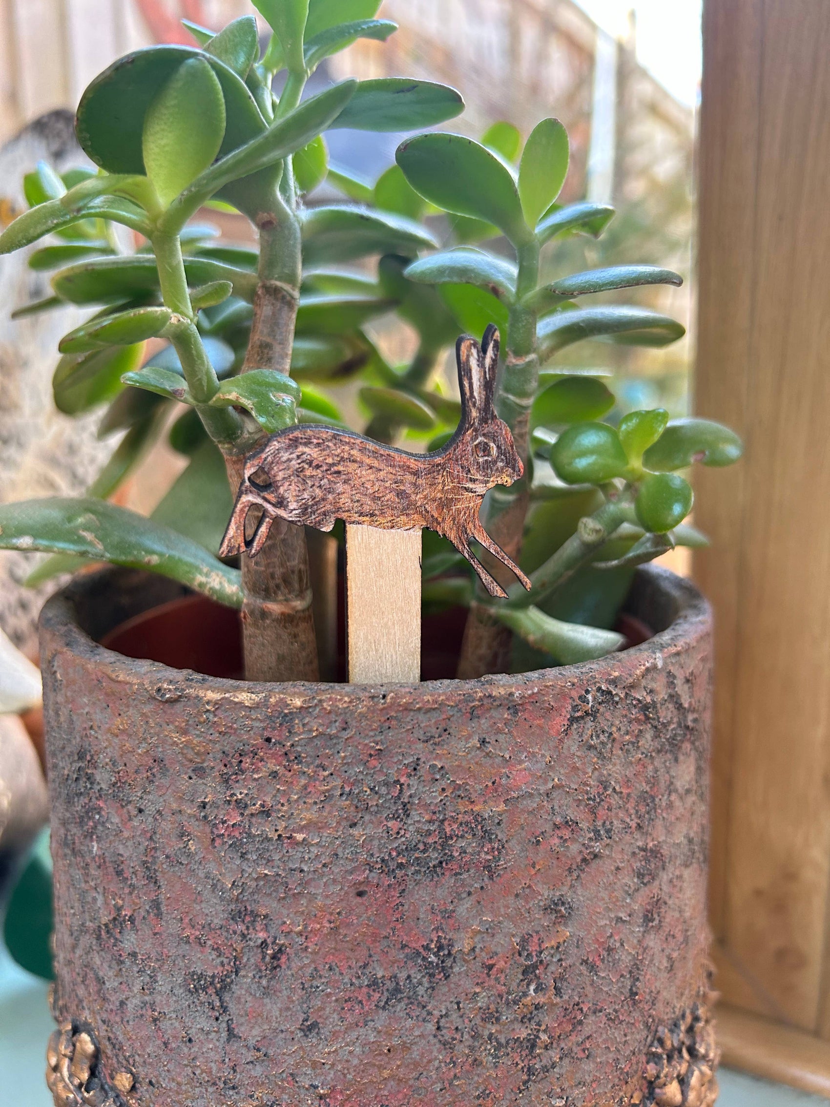 Pair of birch plywood Hare pot decorations/marker 