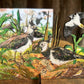 Lapwing Nest laser cut birch plywood keepsake and card