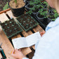 Gardener's Diary - 'Blumen'