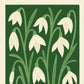Snowdrop | Modern-Retro Wildflower Art Print Wall Decor: A4 - 210 x 297 mm (8.3 x 11.7 inches)