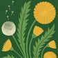 Dandelion | Modern-Retro Wildflower Art Print | Wall Decor: A4 - 210 x 297 mm (8.3 x 11.7 inches)