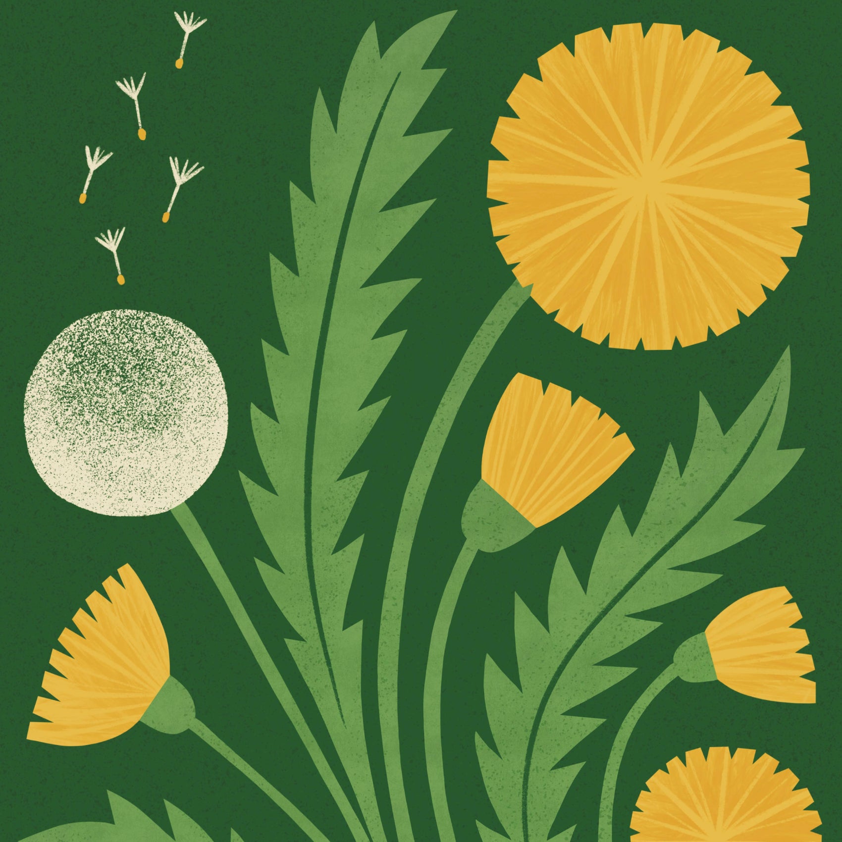Dandelion | Modern-Retro Wildflower Art Print | Wall Decor: A4 - 210 x 297 mm (8.3 x 11.7 inches)