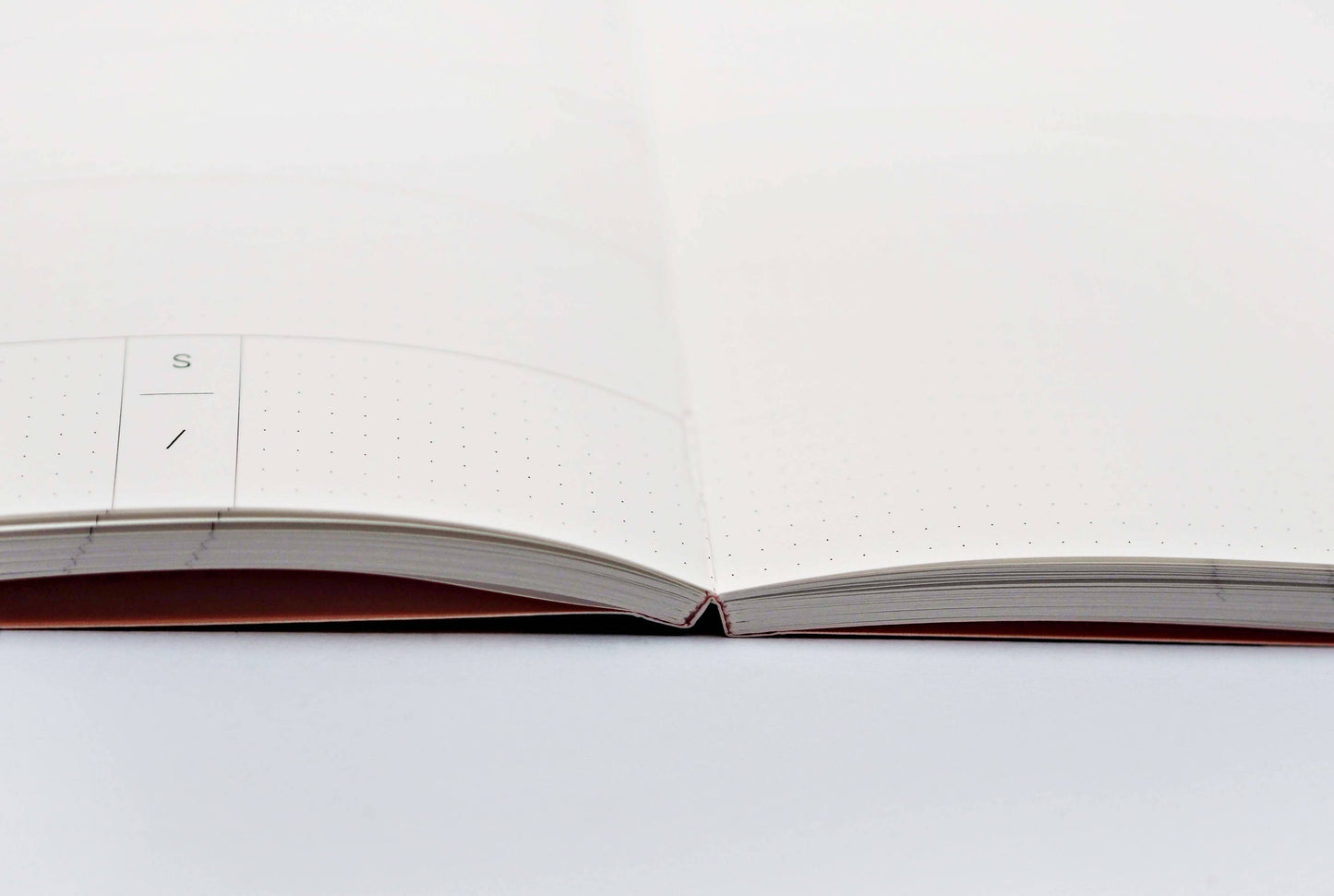 Palermo Undated Weekly Planner Book