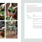 Sustainable Garden