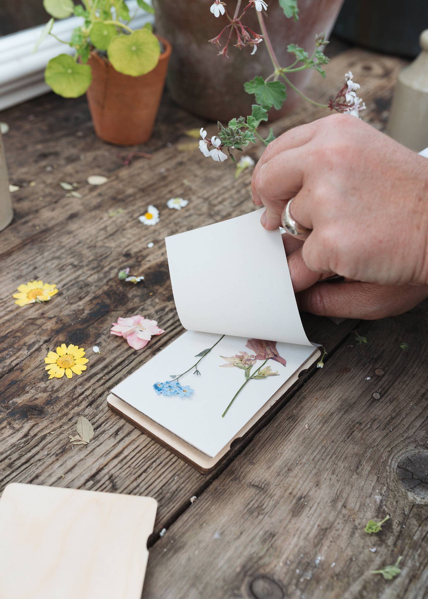 Pocket Flower Press - Vine